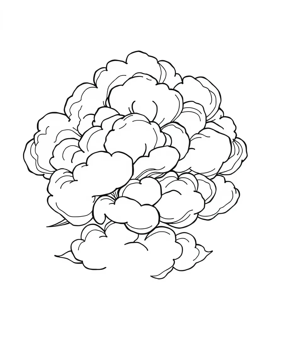Cloud formations with internal line work suggesting various densities and movements