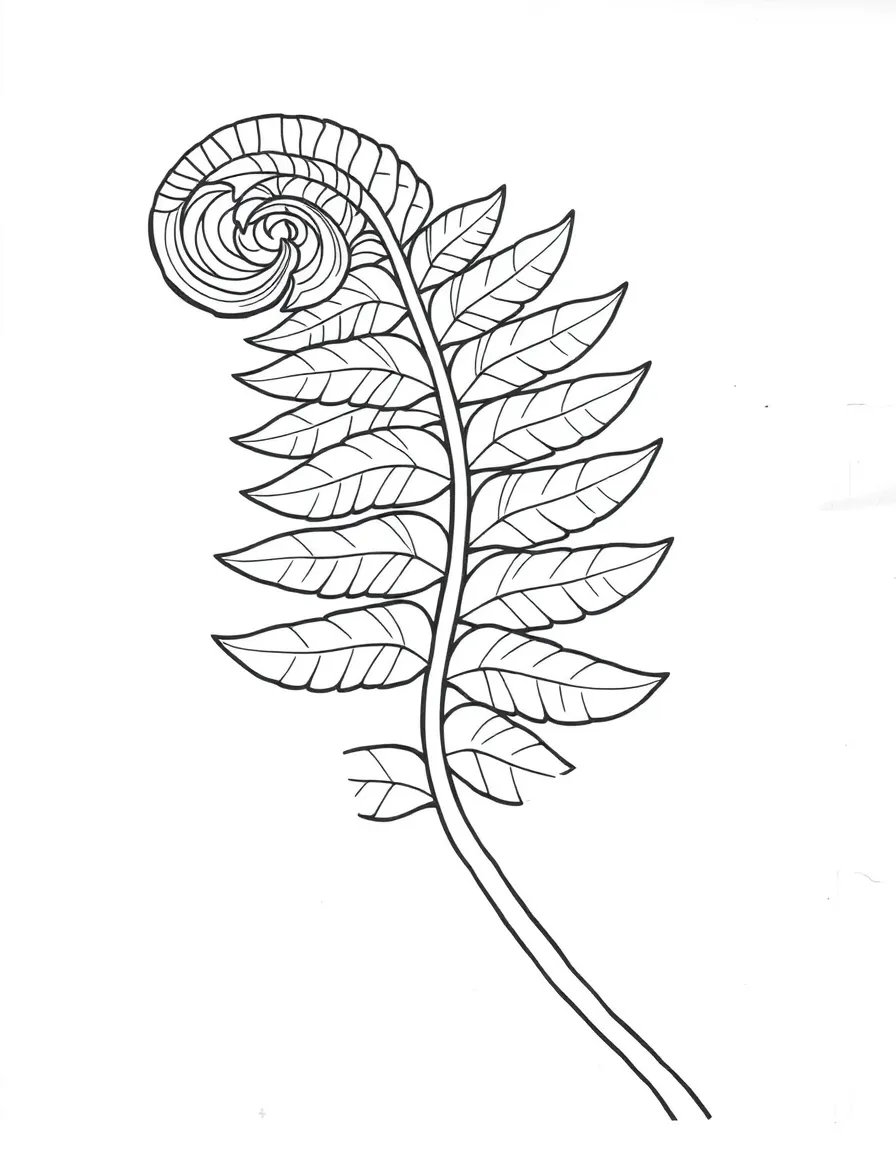 Abstract fern frond with unfurling pattern details
