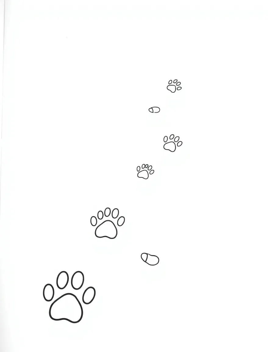 A cat paw prints trail across the page