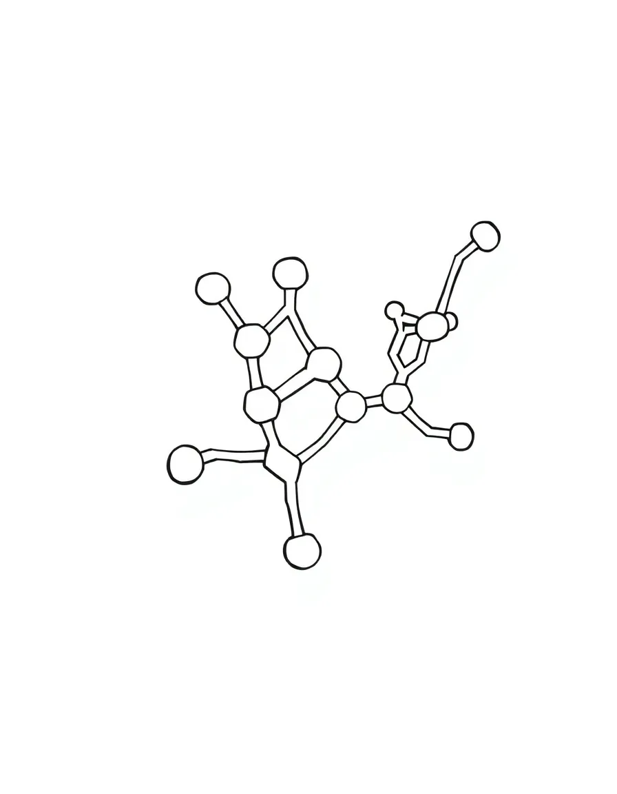 The structure of a simple enzyme inhibitor complex