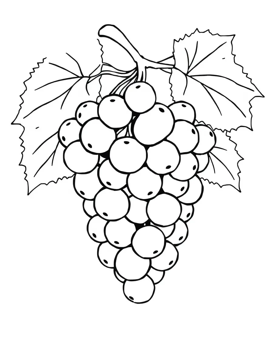 Grapes