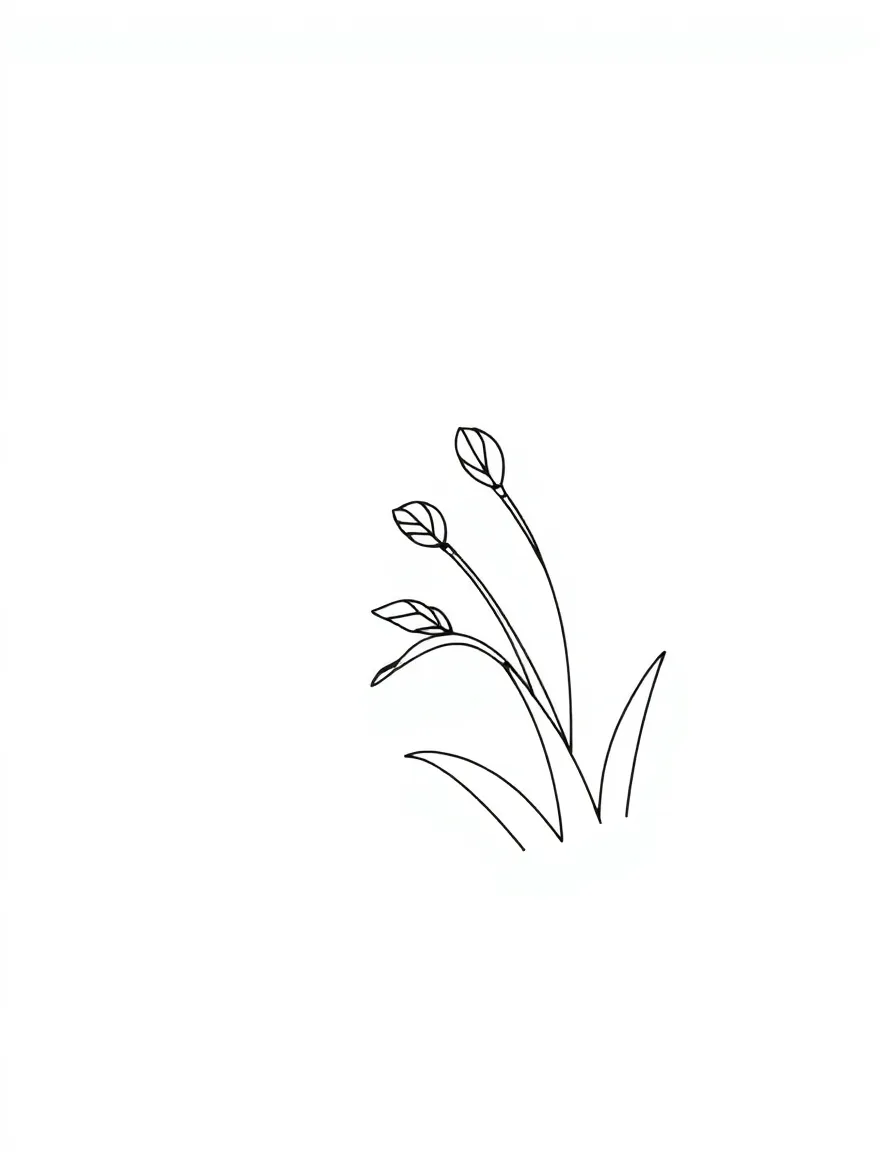 Shadow Design