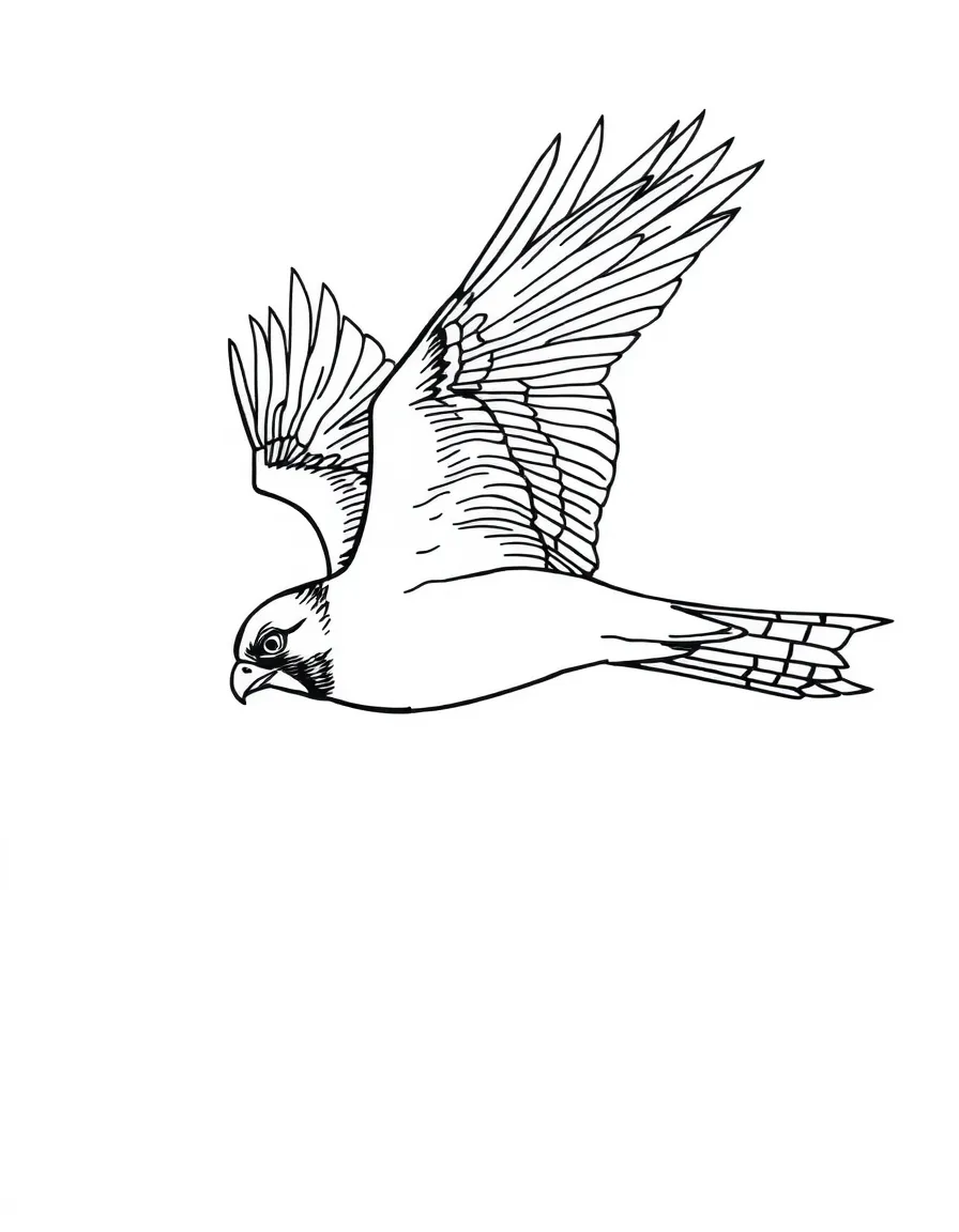A peregrine falcon diving through the sky  