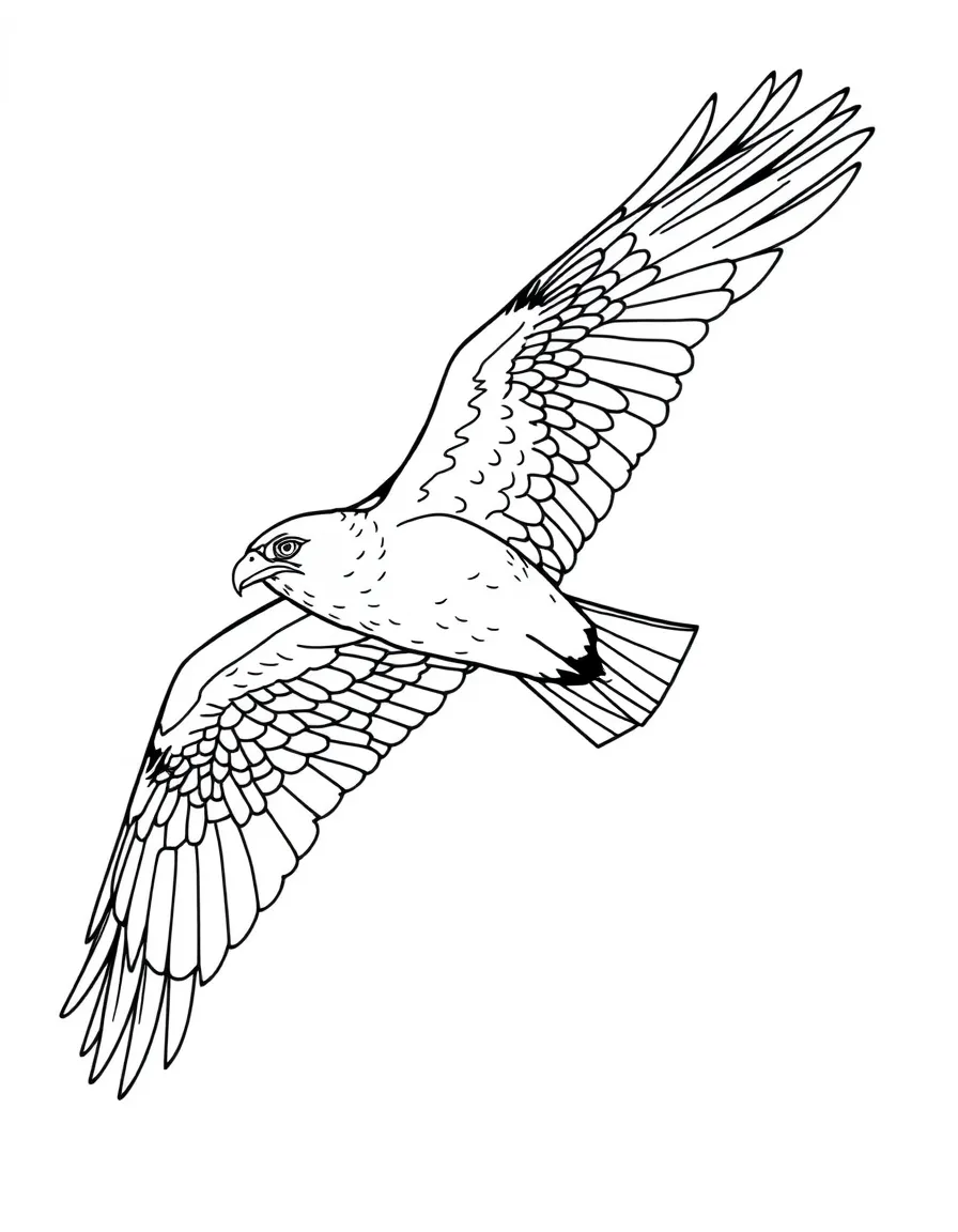 A hawk gliding through the sky with sharp eyes  