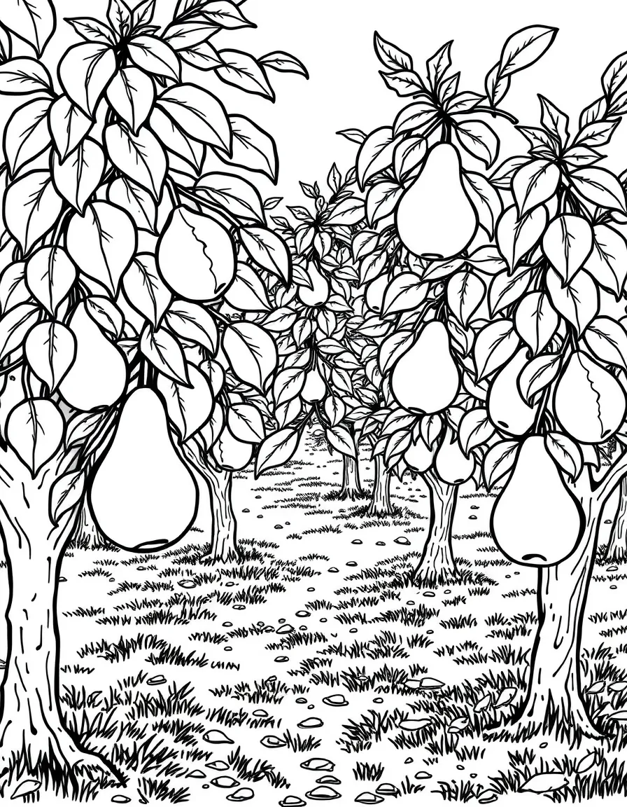 Pear trees in an orchard setting