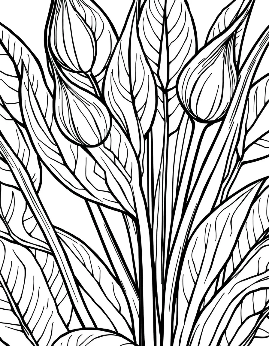 A close-up of plant responses to touch