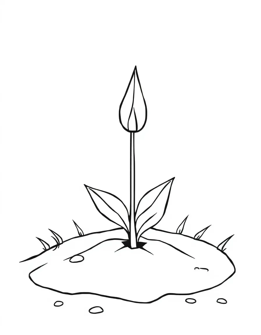 A pointy sprout growing from the ground.