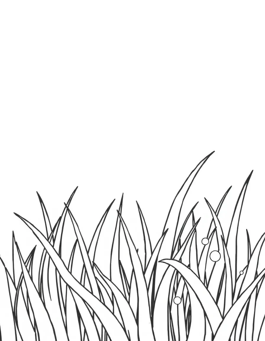 A green grass with dew drops.