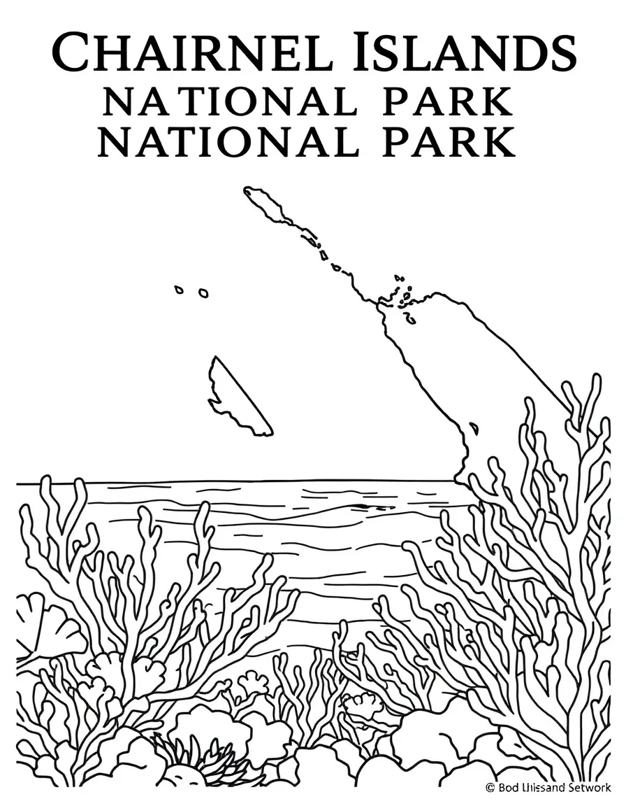 Channel Islands National Park with California Galápagos comparison island evolution, Chumash Native American maritime culture, kelp forest marine sanctuary, and endemic species recovery