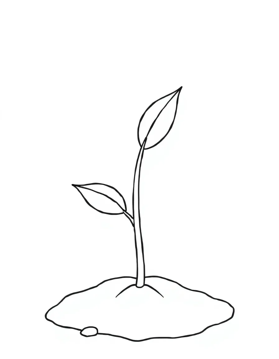 A little sprout growing from the ground.