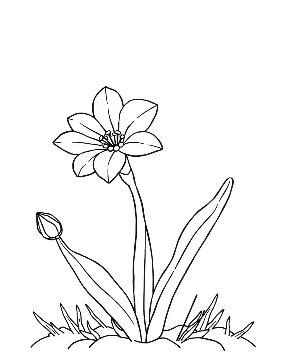 A smiling desert plant with a flower blooming in Arizona.