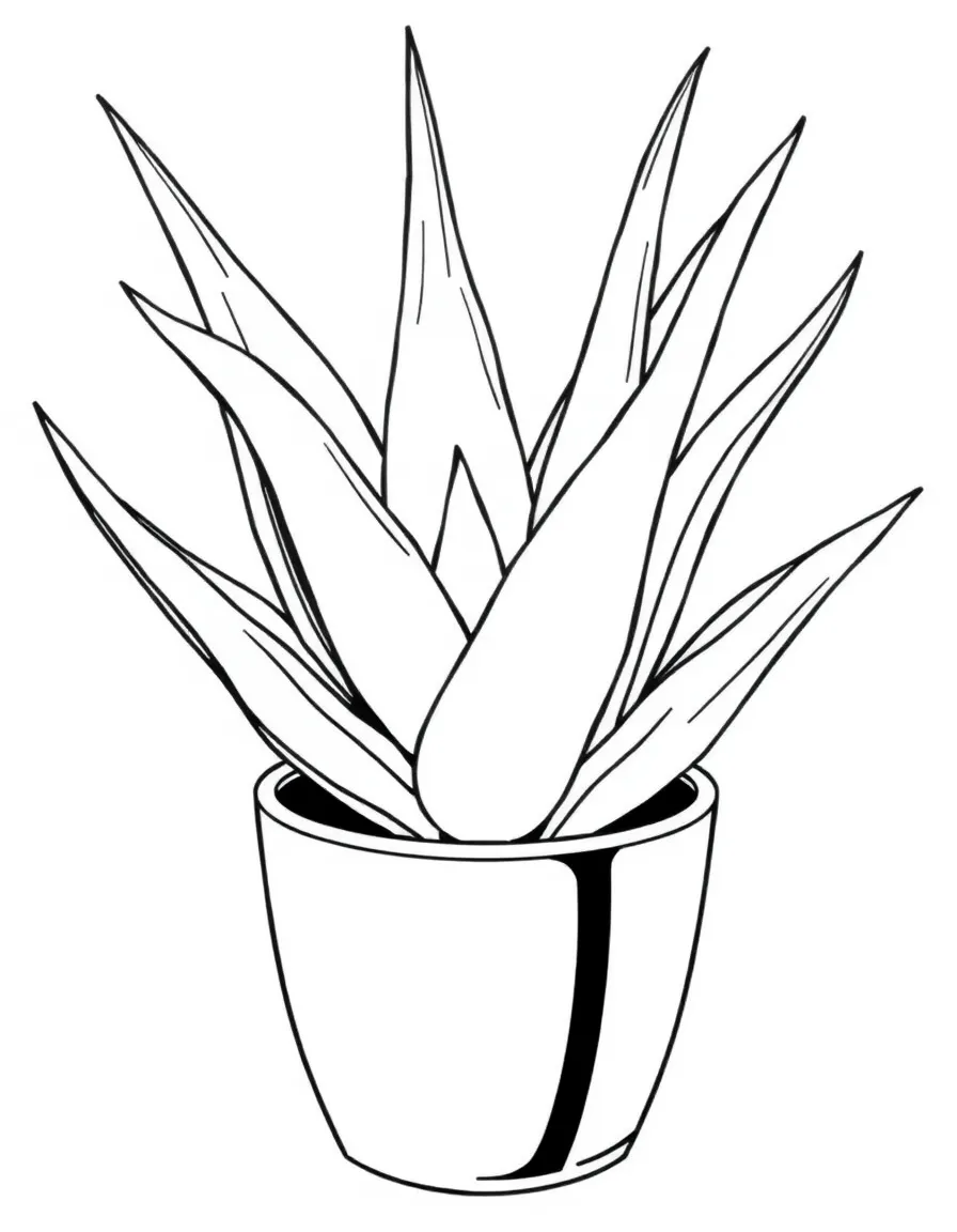 A potted aloe vera plant with chubby leaves