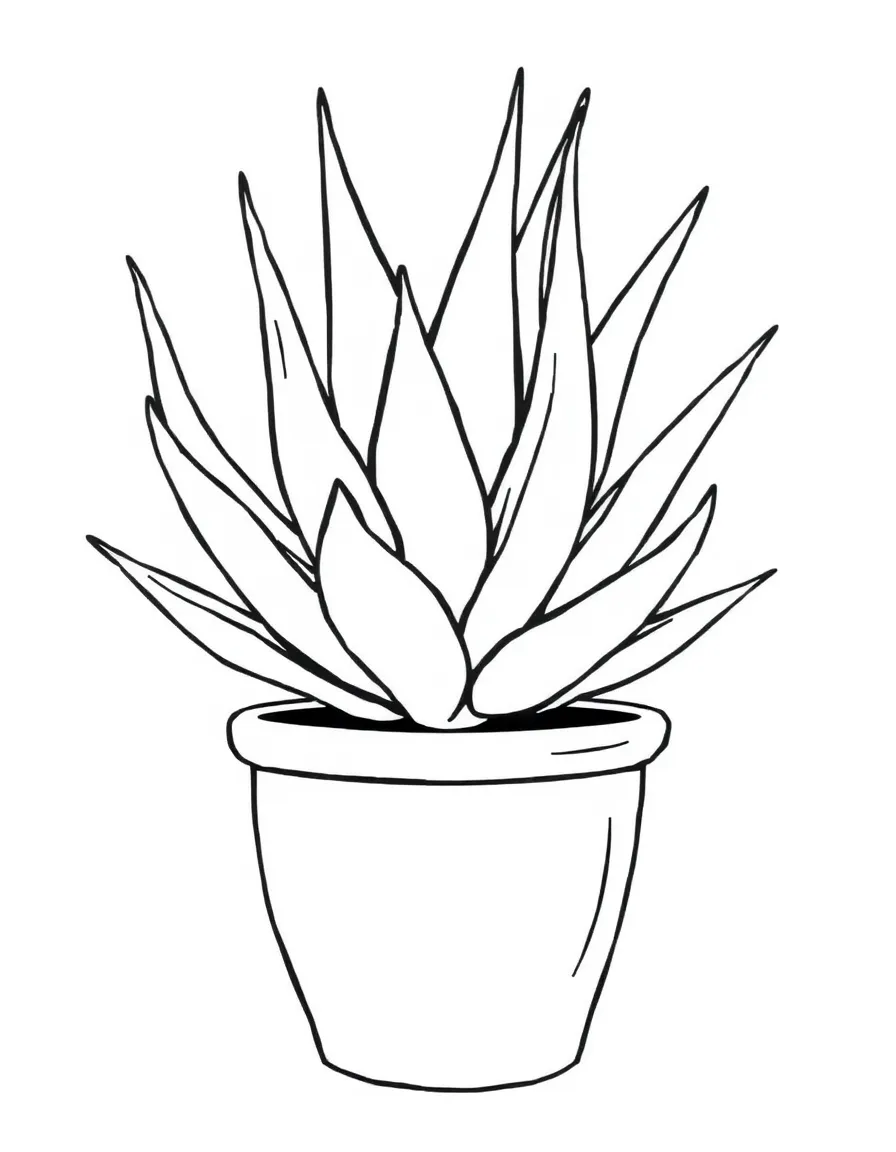 A potted aloe vera shrub with chubby leaves