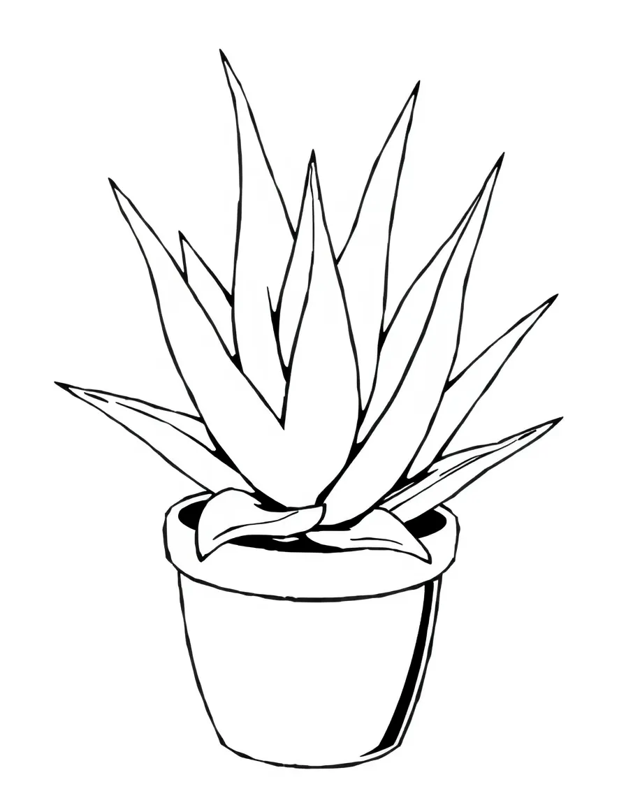 A potted aloe vera shrub with chubby leaves