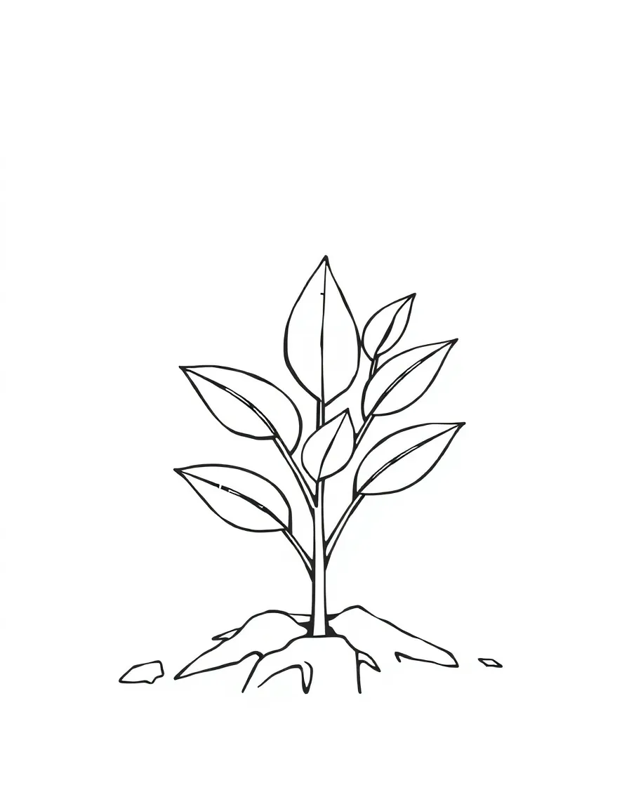 A small shrub sprouting from the ground