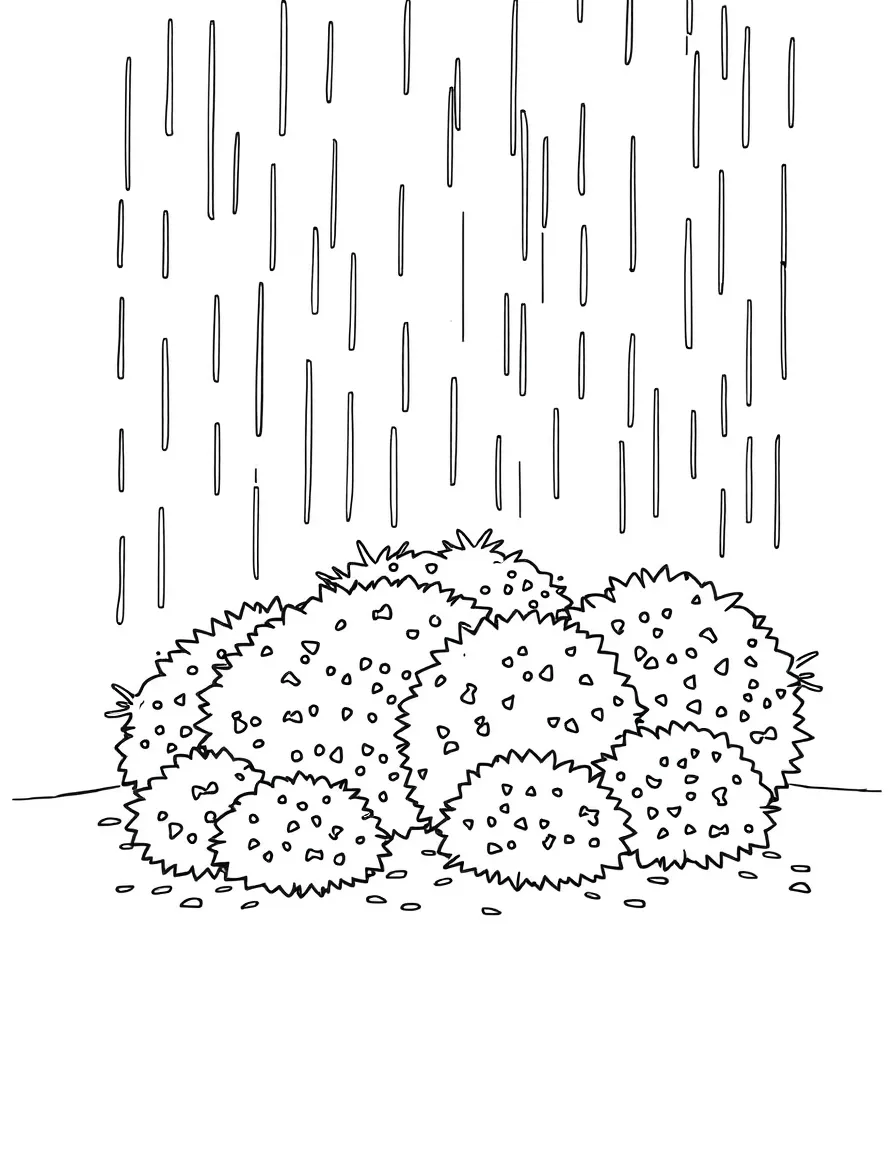 A scene of rain falling on a group of shrubs