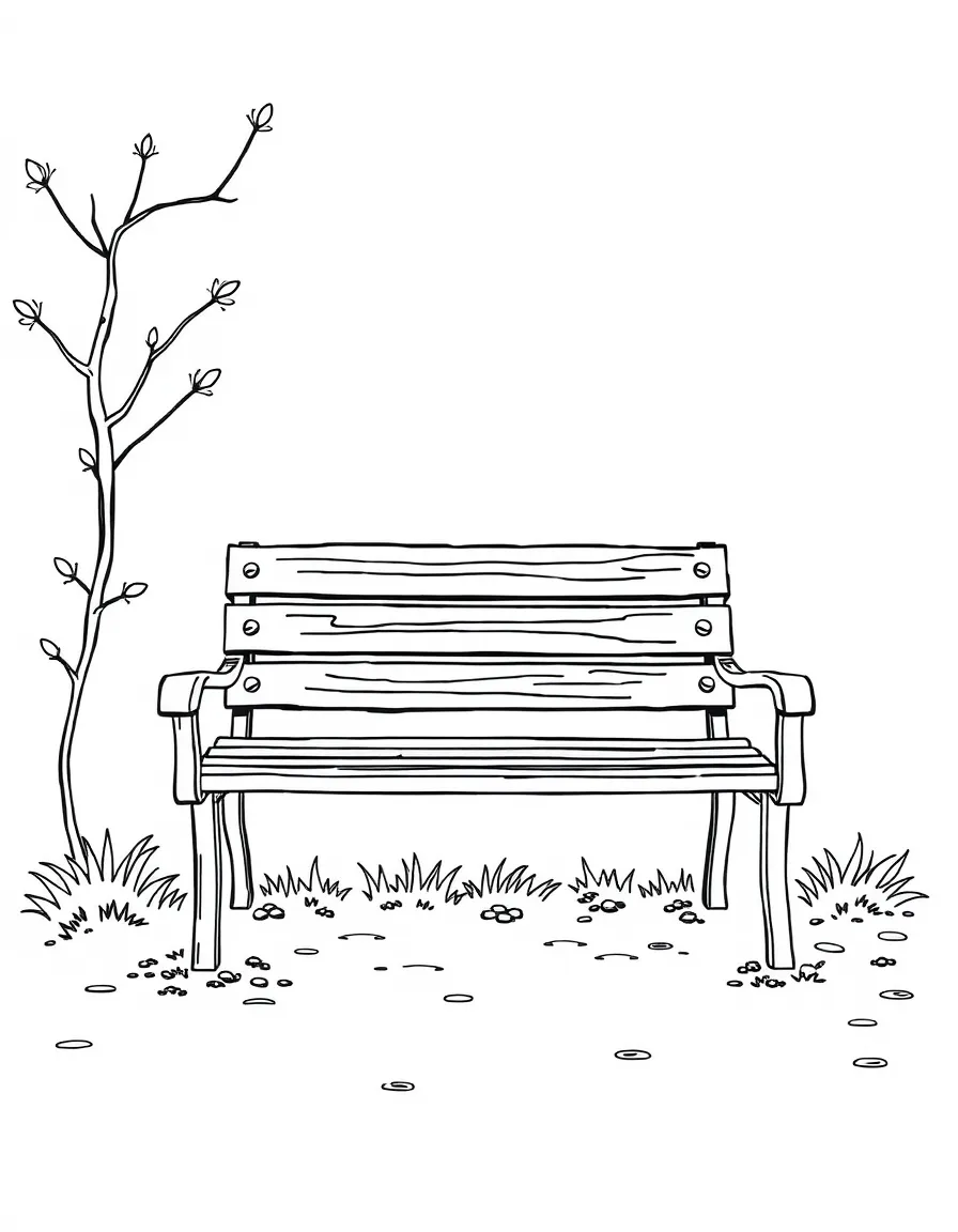 A bored bench empty.