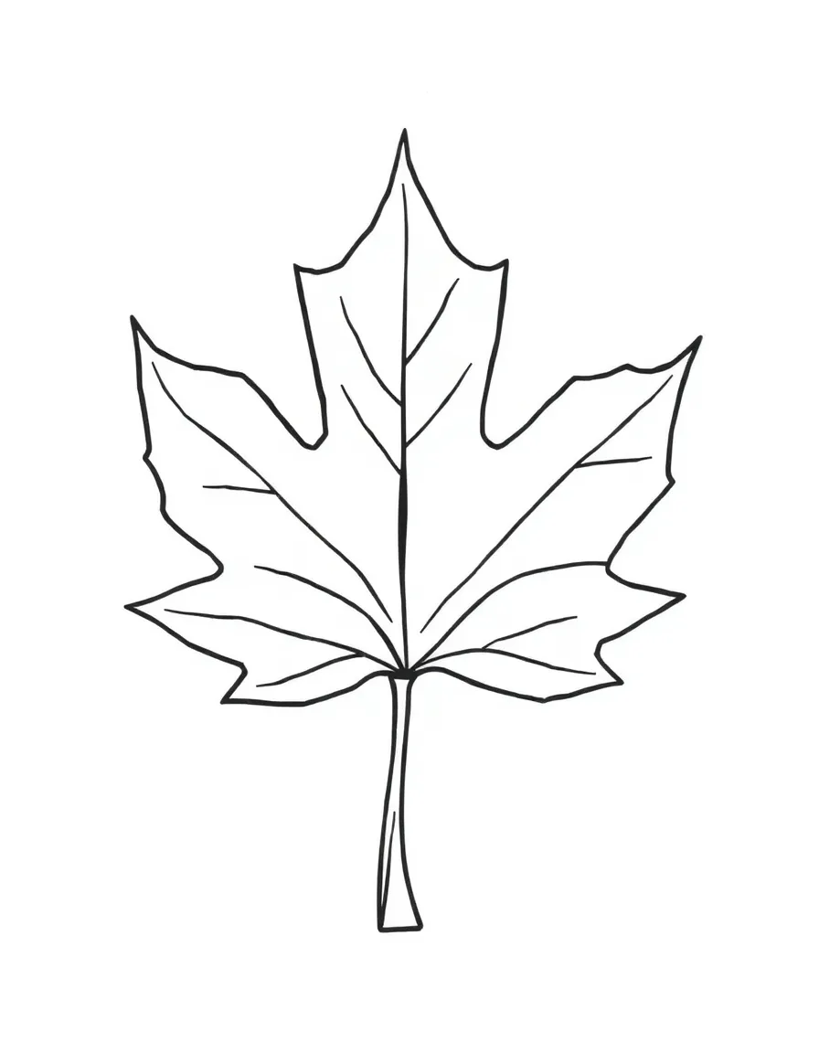 A simplified drawing of a maple leaf for coloring.