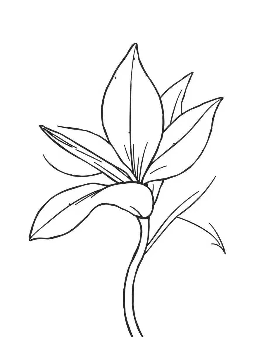 A simplified drawing of a vibrant tropical flower.