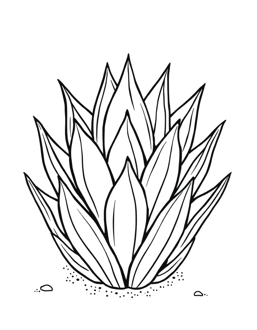 A cute drawing of a small agave plant.