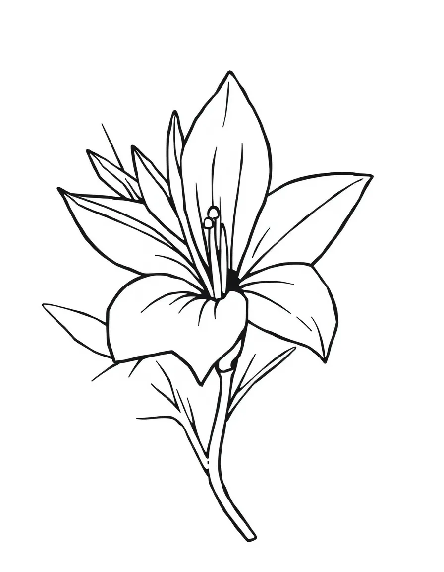 A simplified drawing of a tropical flower.