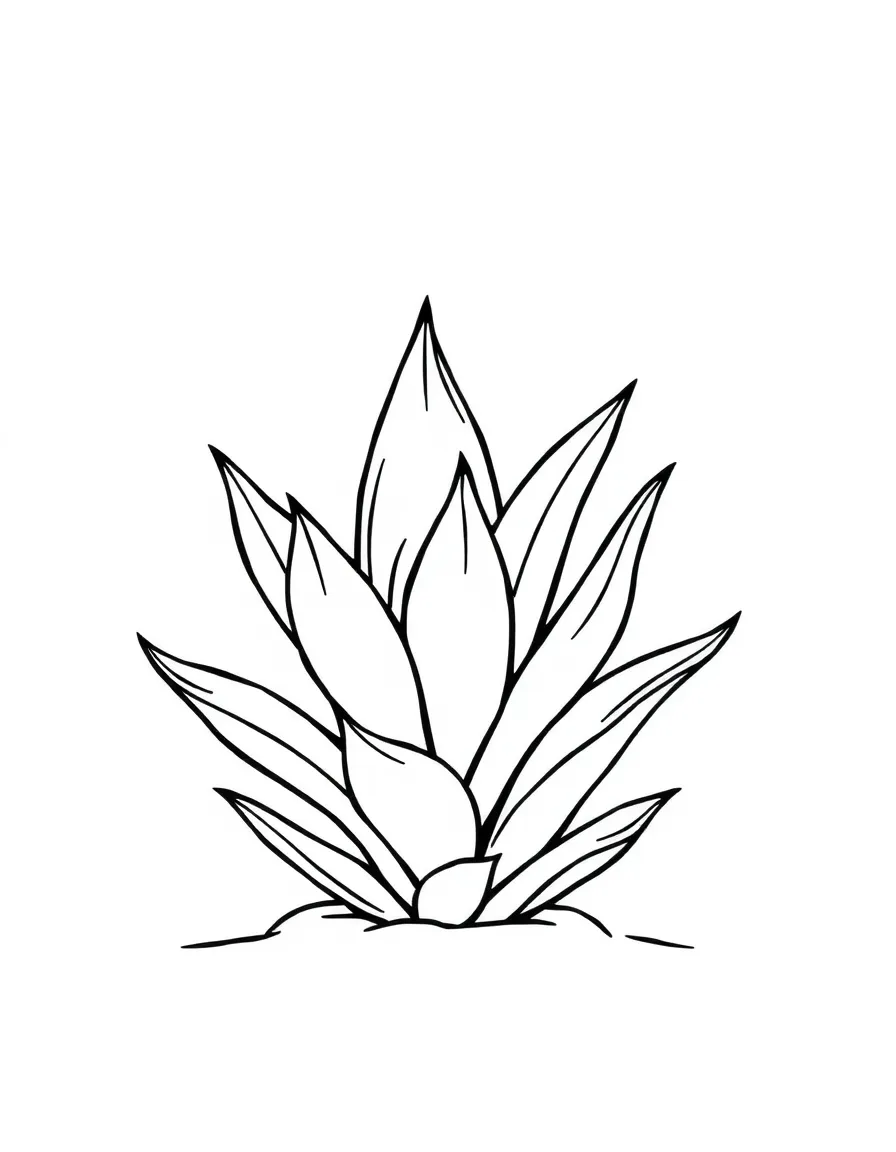 A cute drawing of a small agave plant.