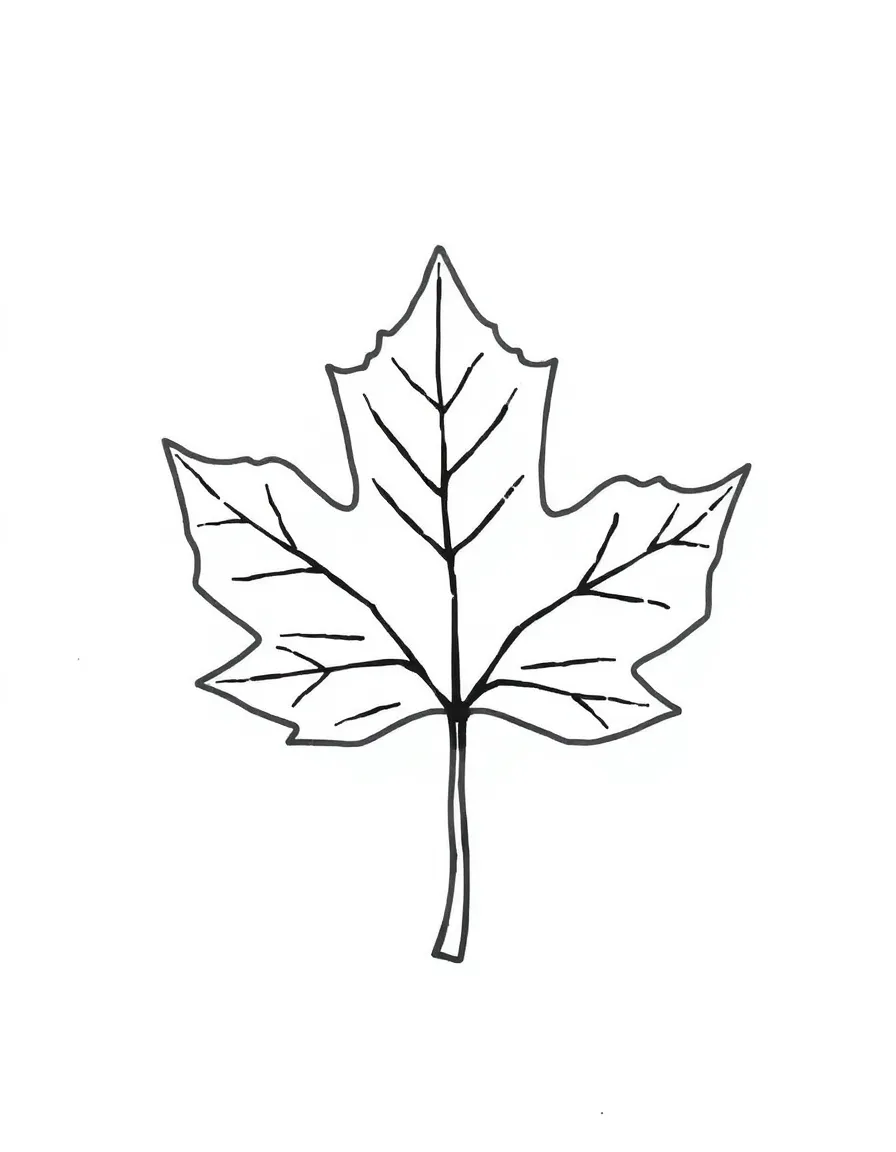 A cute drawing of a maple leaf.