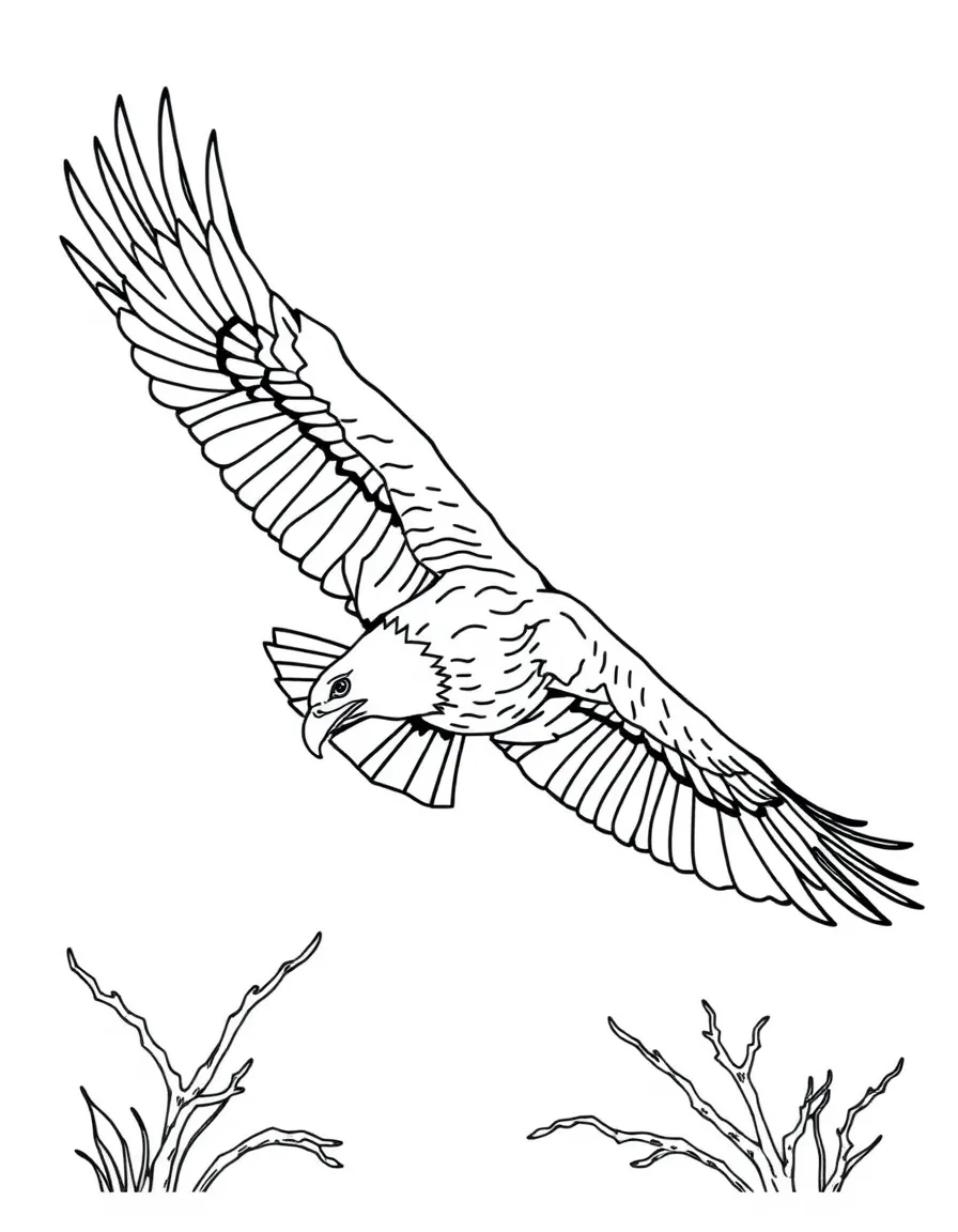 (Maryland) Blackwater Wildlife Refuge bald eagle in flight