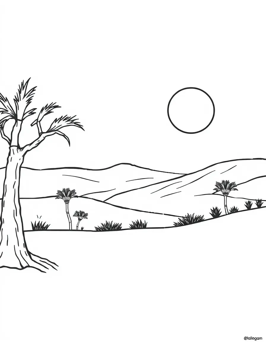 (Arab) Algerian Sahara Desert