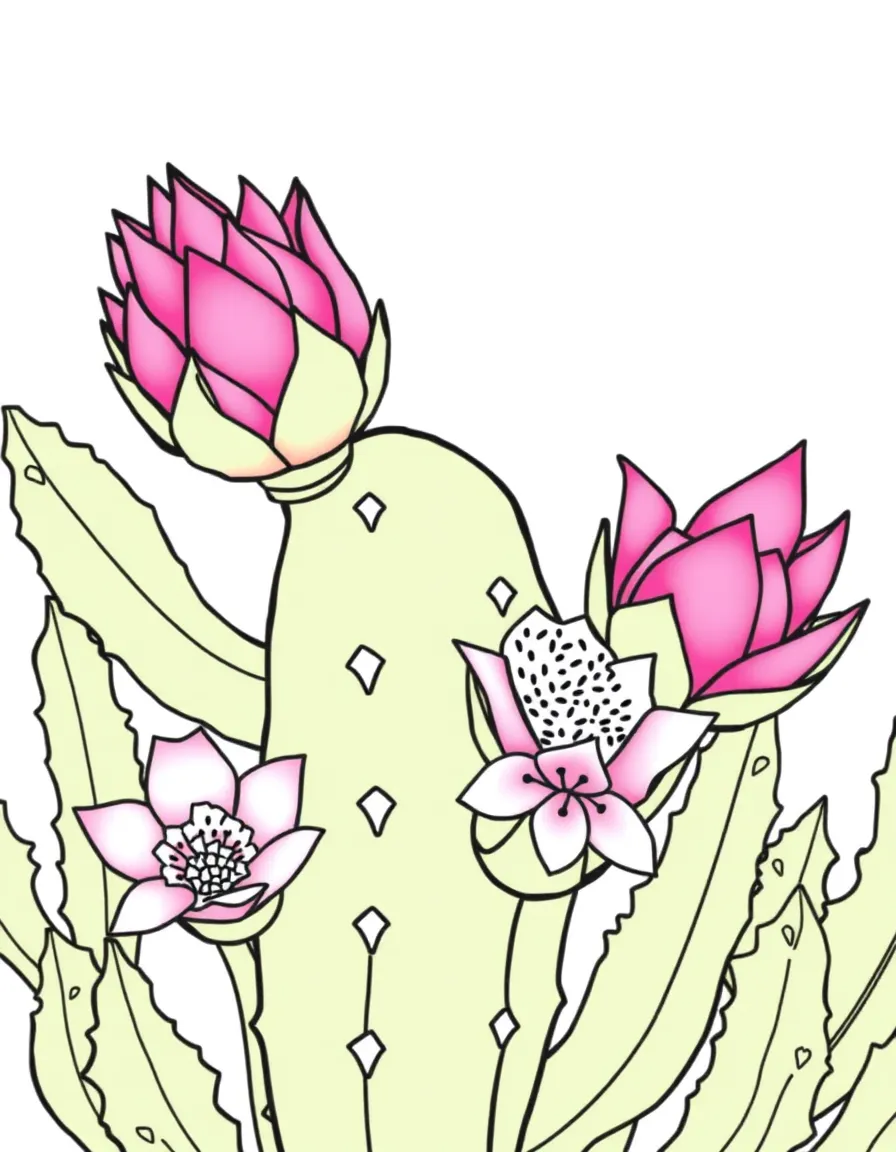 A dragon fruit cactus with bright pink fruit and flowers