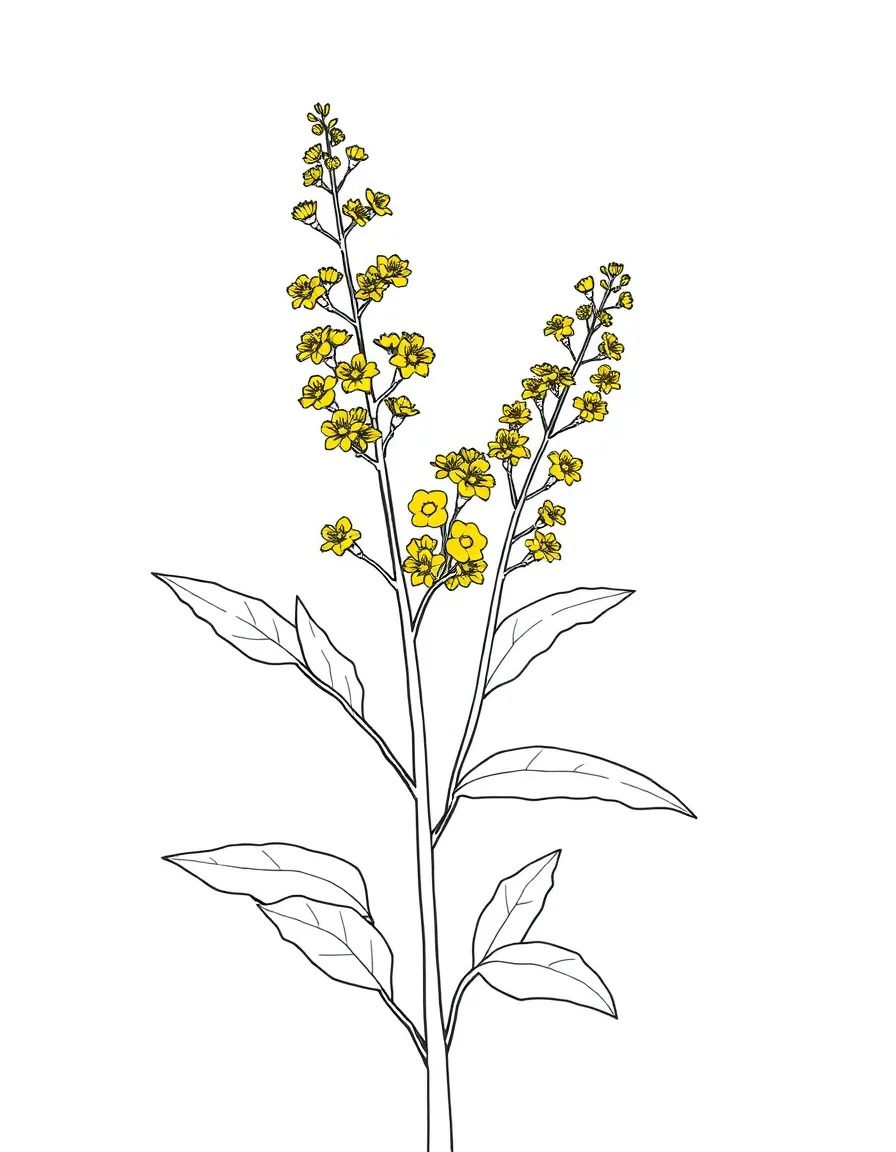 A mustard plant with tiny yellow flowers and green leaves