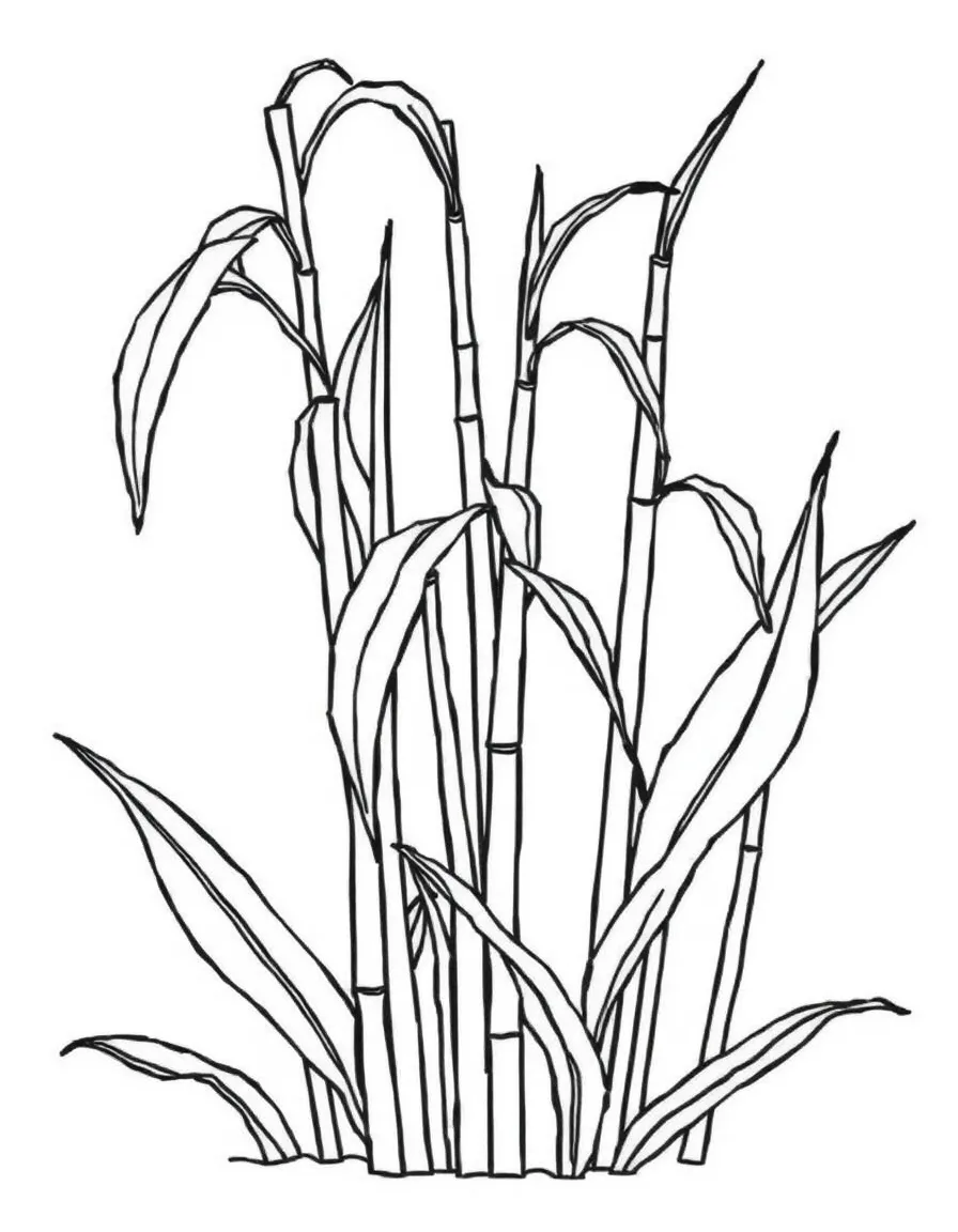 A sugarcane plant with tall stalks and green leaves