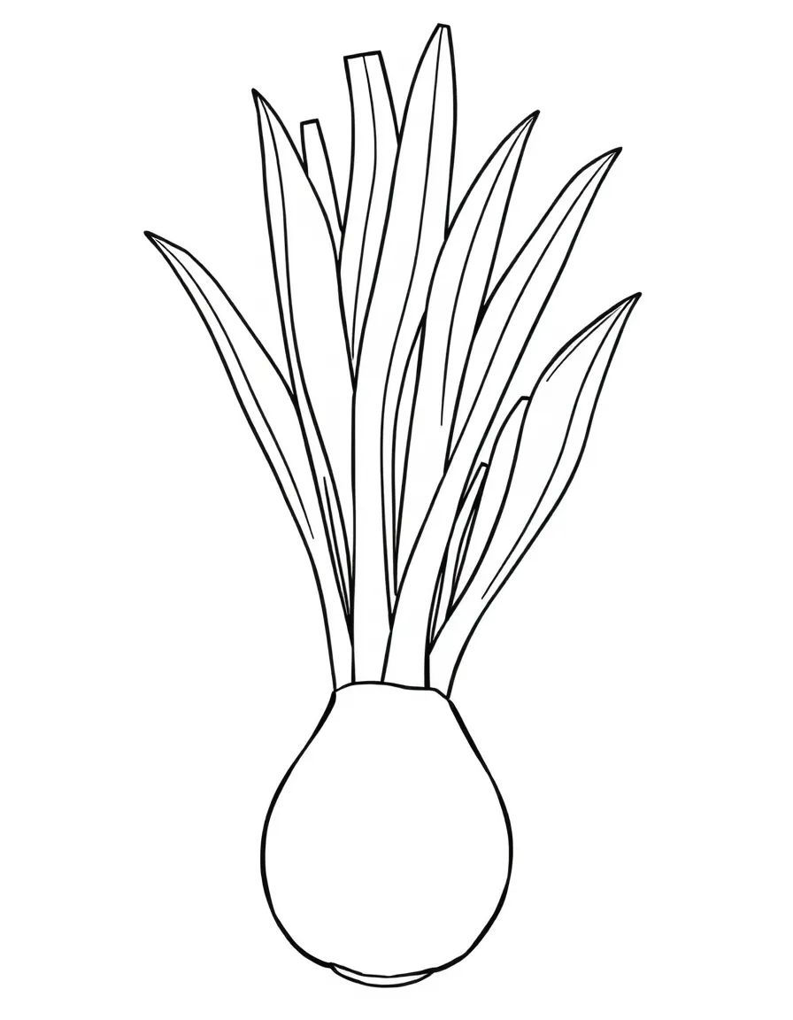 A leeks plant with thick white base and tall green tops