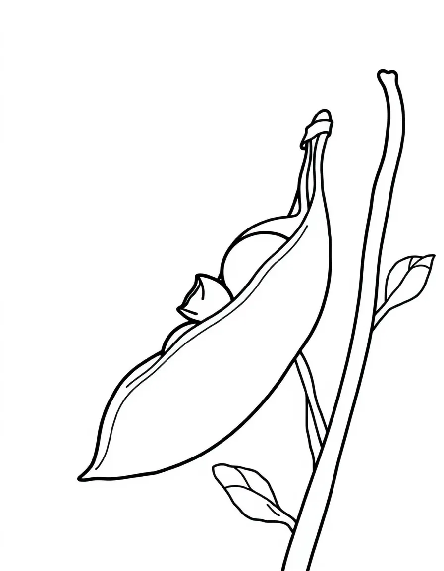 A green pea.