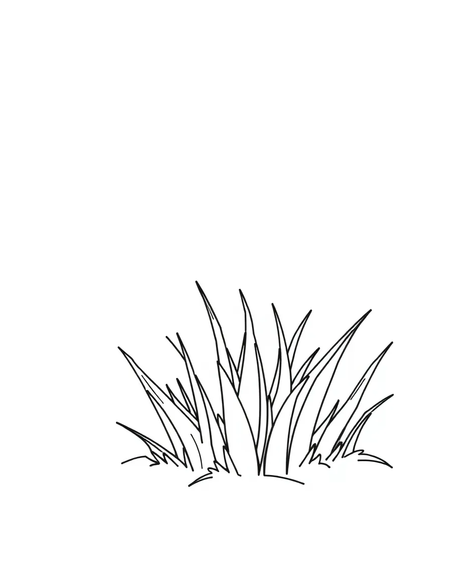 A green grass.