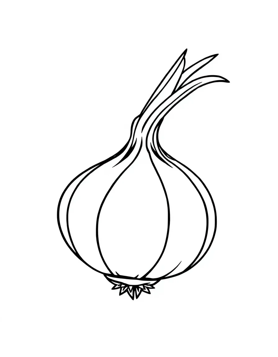 A white onion.