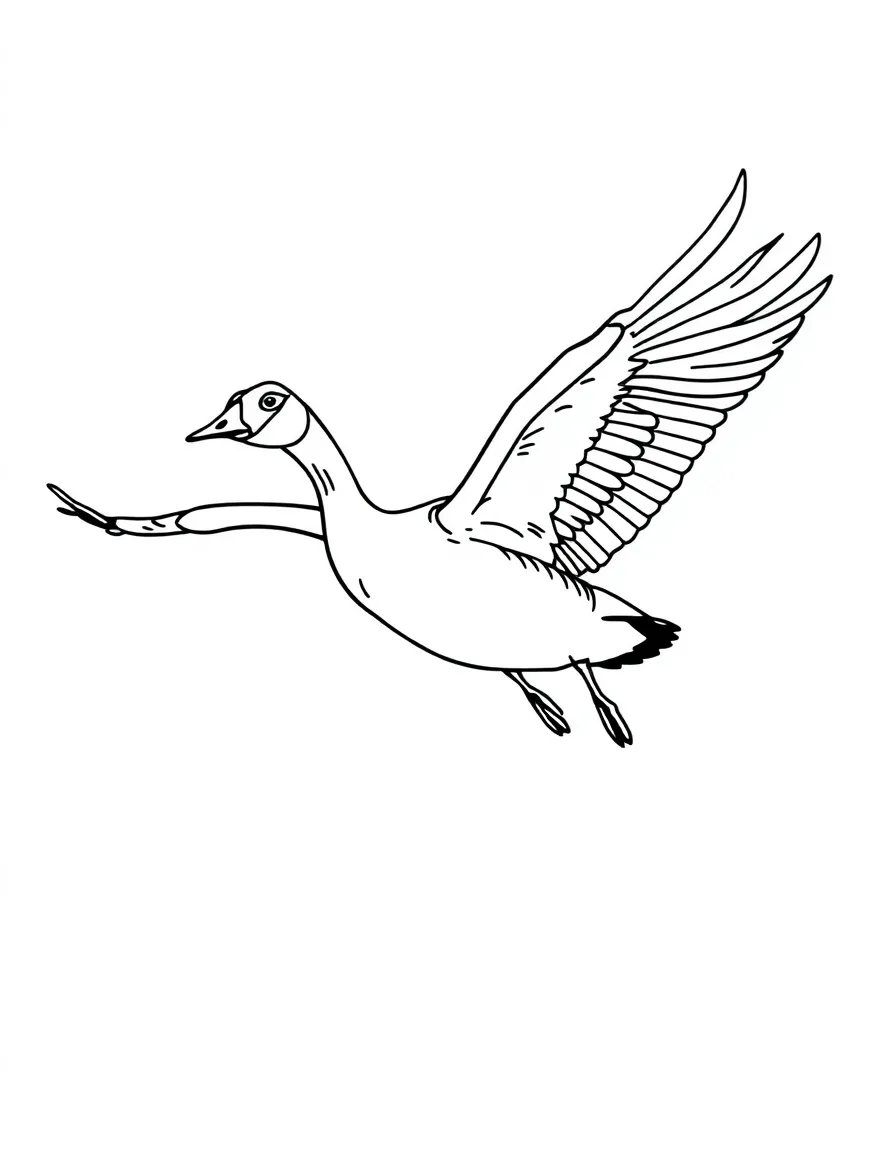 A honking Canada goose in flight