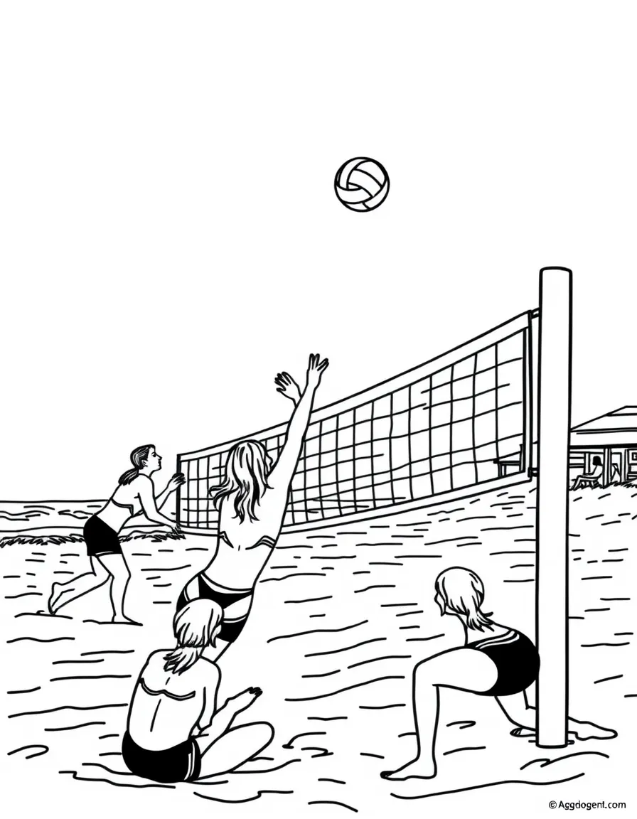 (Massachusetts) Beach volleyball at Cape Cod