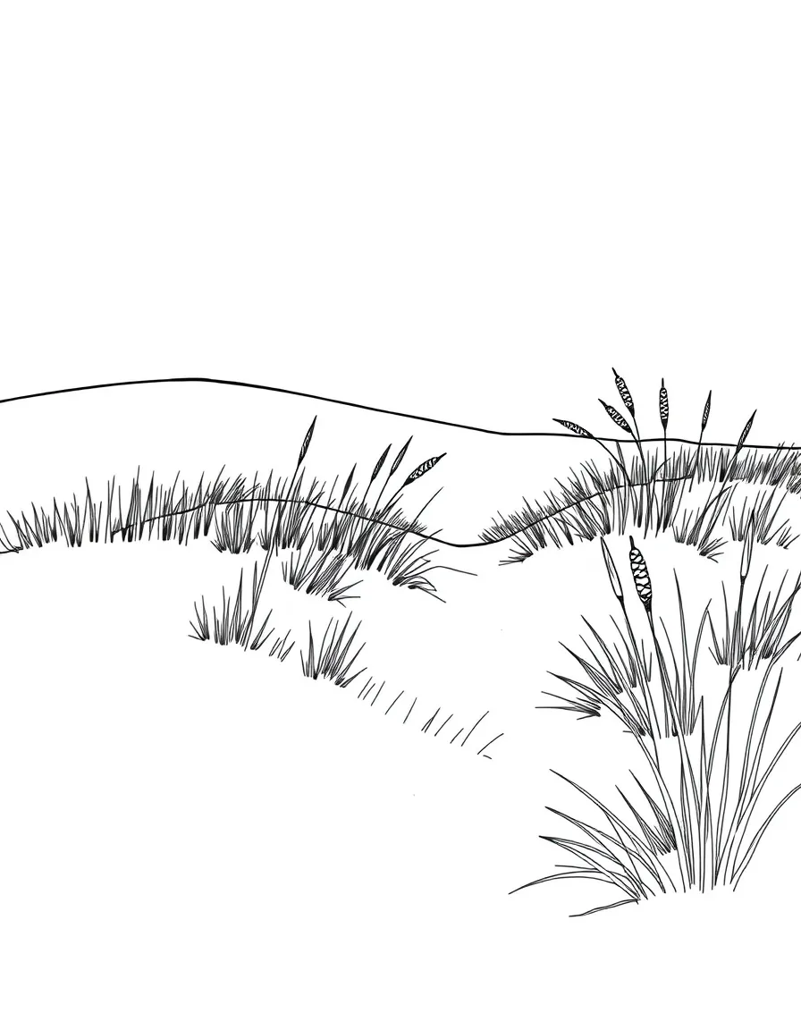 (Indiana) Sand dunes and grasses at Indiana Dunes National Park
