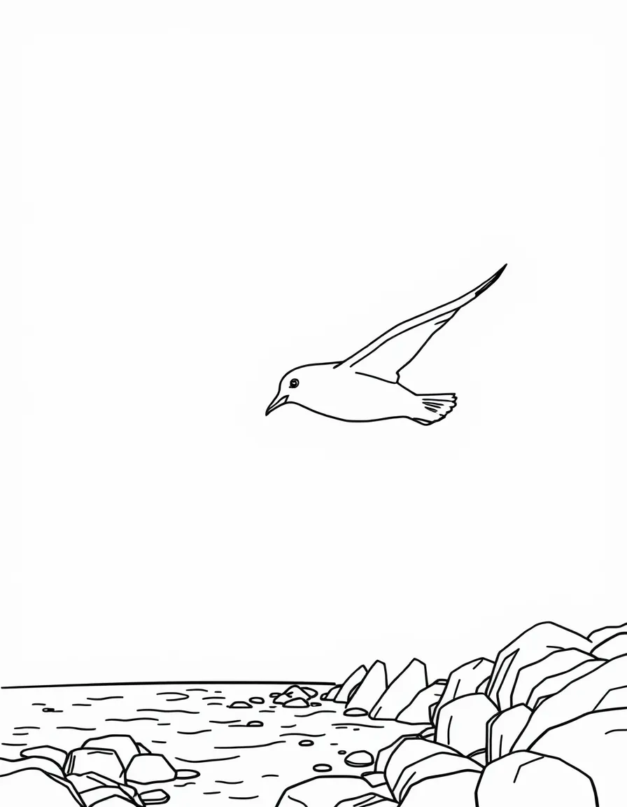 (Maine) A seagull flying above the coast