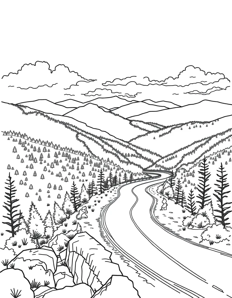 (North Carolina) Blue Ridge Parkway with winding road and scenic views