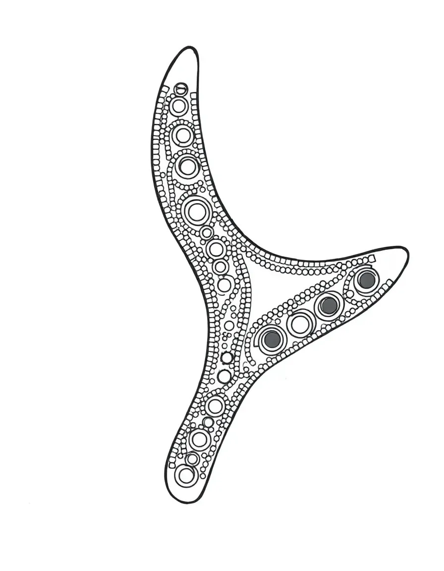 (Australia) An Aboriginal boomerang decorated with traditional dot patterns.