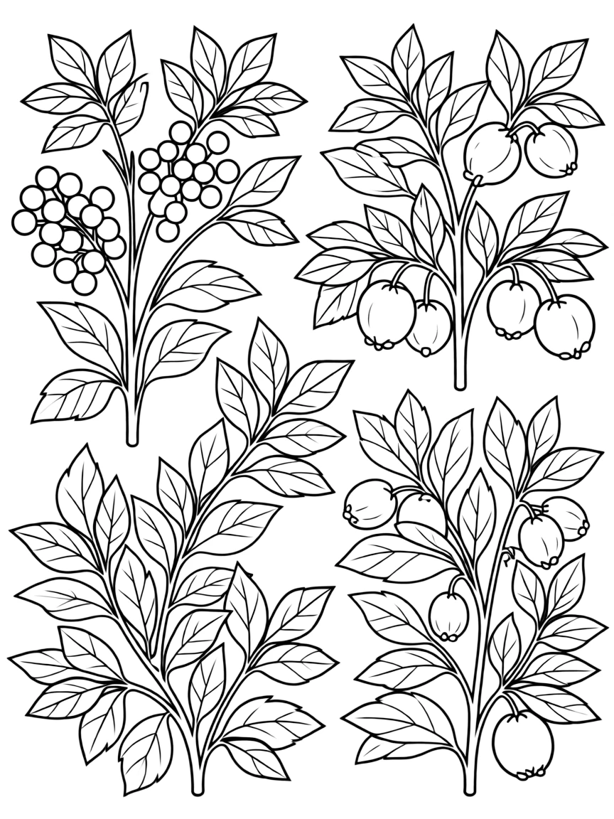 Wild berries and forest fruits on bushes