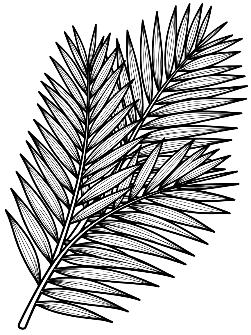 Palm fronds arranged in Sunday procession pattern with detailed texture
