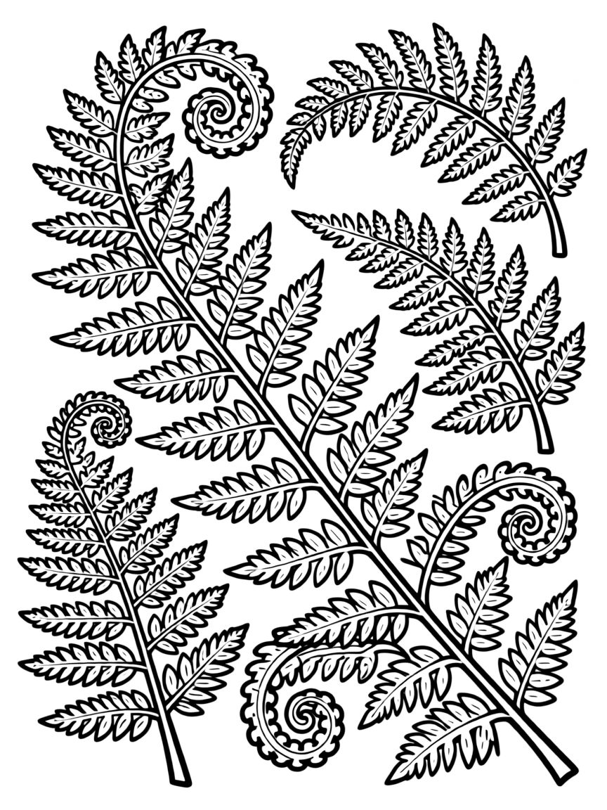 Intricate patterns of fern fronds unfurling