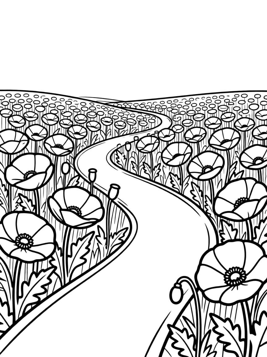 A field of poppies with a winding path