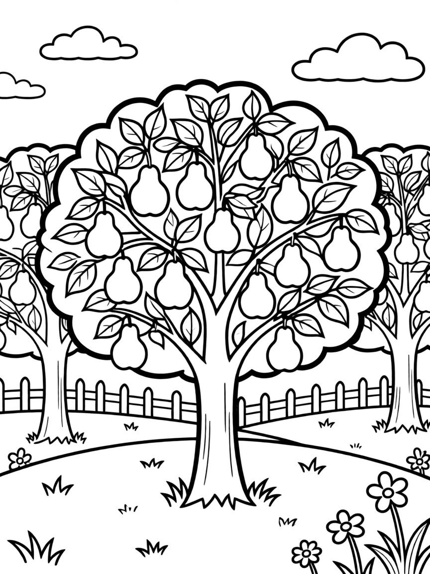Pear trees in an orchard setting