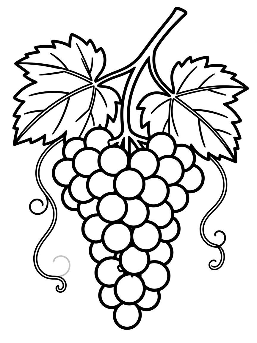A bunch of grapes hanging on a vine.