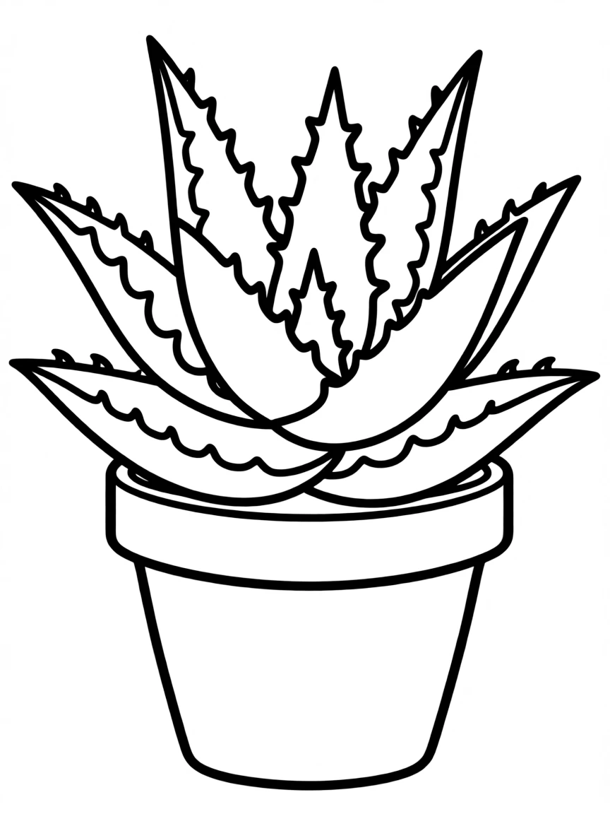A potted aloe vera shrub with chubby leaves