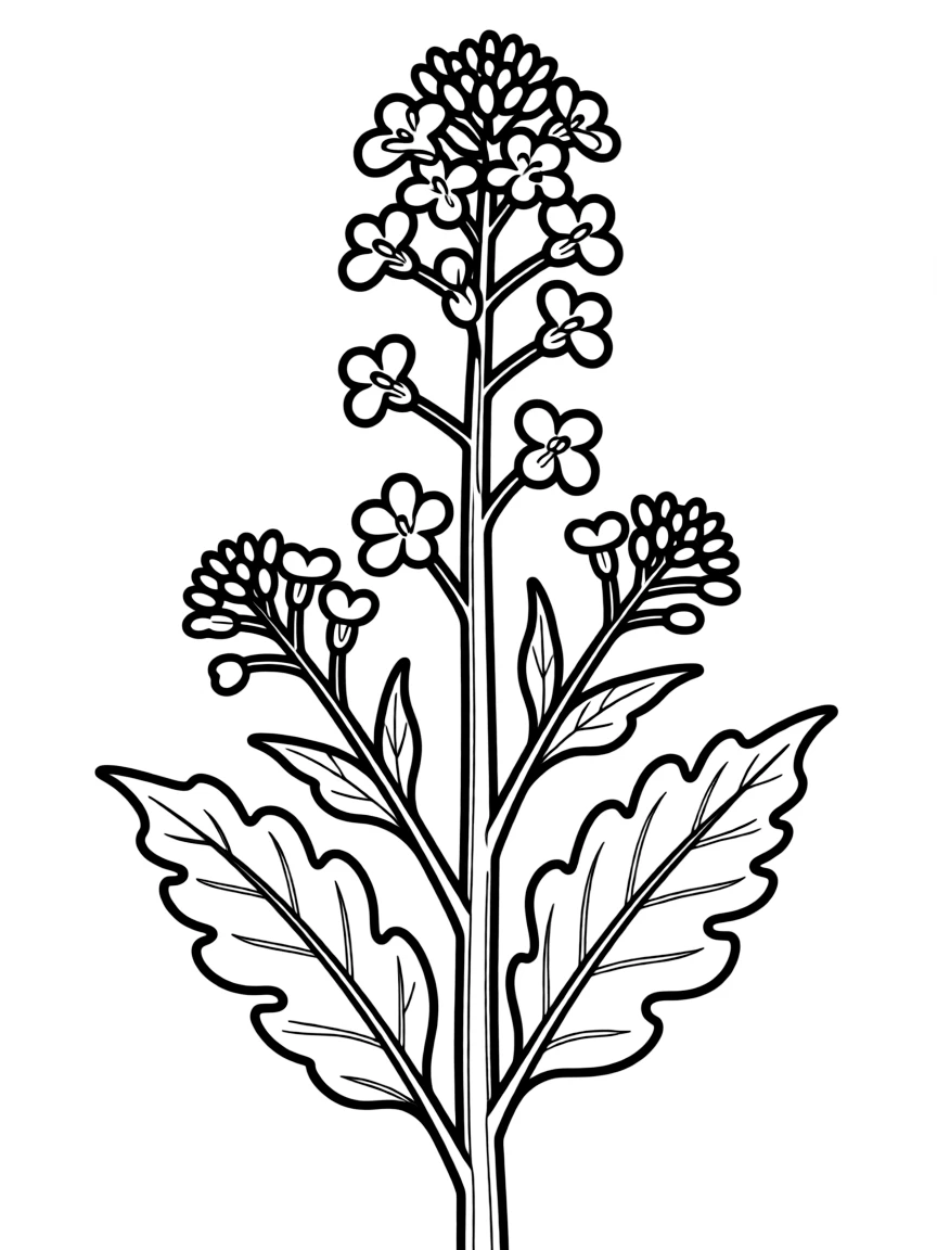 A mustard plant with tiny yellow flowers and green leaves